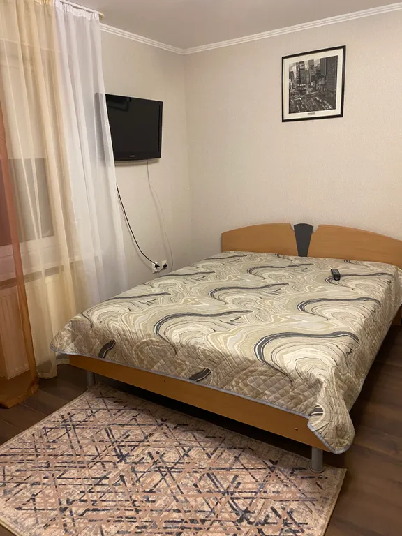 Уютная однокомнатная квартира в центре города