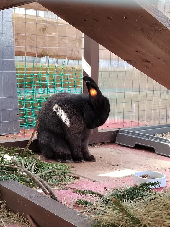 Купеческий дом