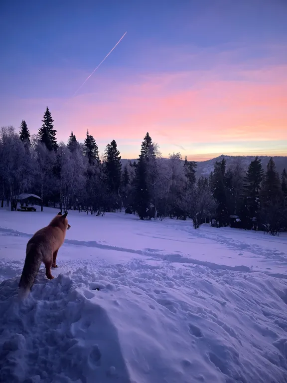Дом в национальном парке Таганай