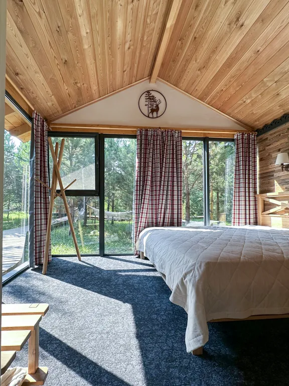 Шале посреди молодого сосново-березового леса