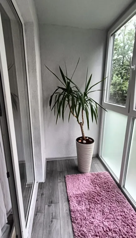 Квартира Уютная квартира с панорамными окнами — Калининград