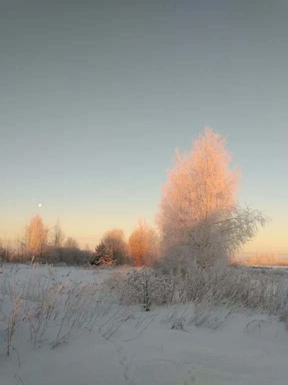 Дом с сауной и мангалом