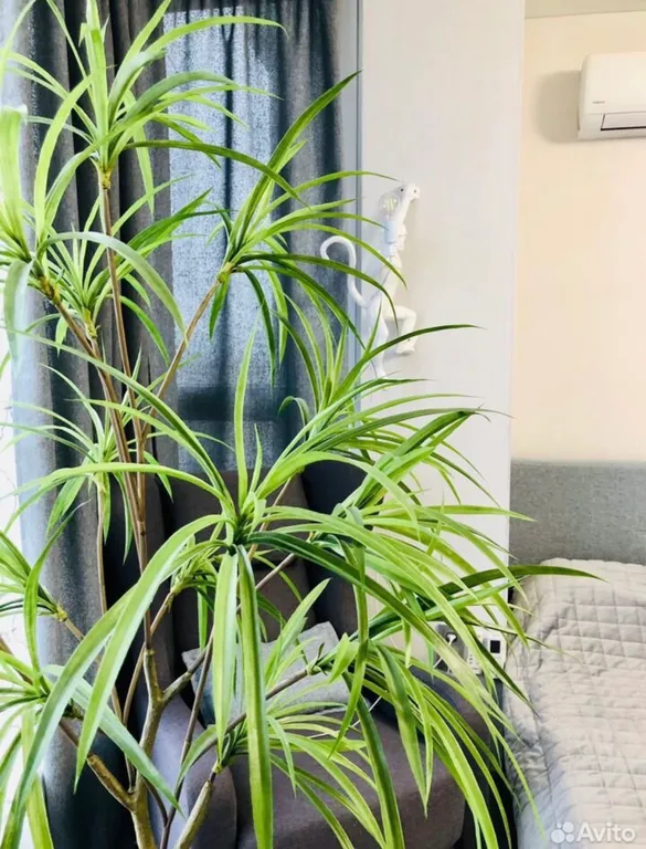 Квартира Квартира студия в Анапе для отдыха на море — Анапа