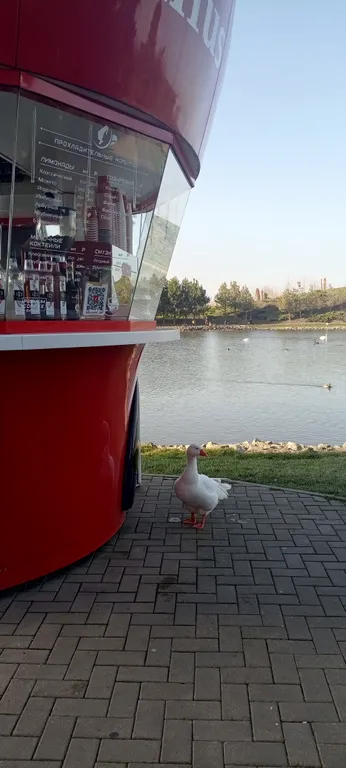 Квартира Семейная квартира в микрорайоне Немецкая деревня — Краснодар