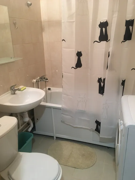 Квартира Квартира Студия Песочный рядом с НИИ им. Петрова, Гранова — Песочный