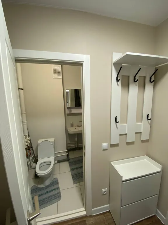 Уютная однокомнатная квартира