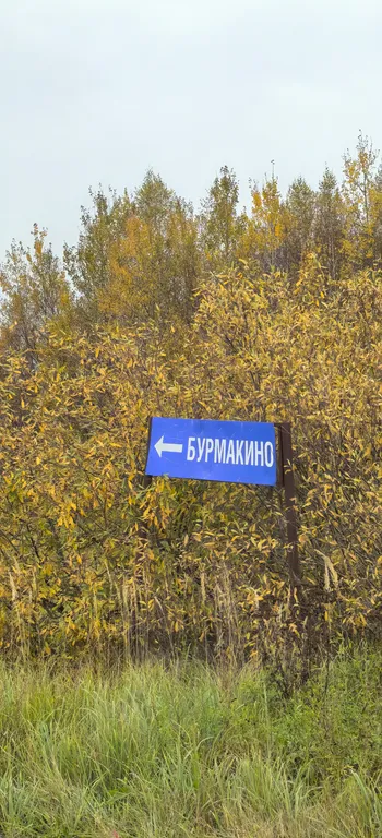 Дом с русской баней на дровах , хамам и бассейном