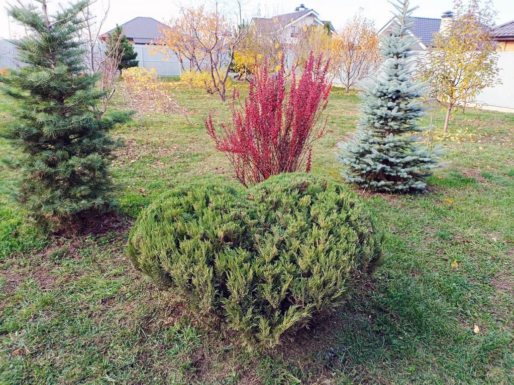 Коттедж Игуменка с русской баней
