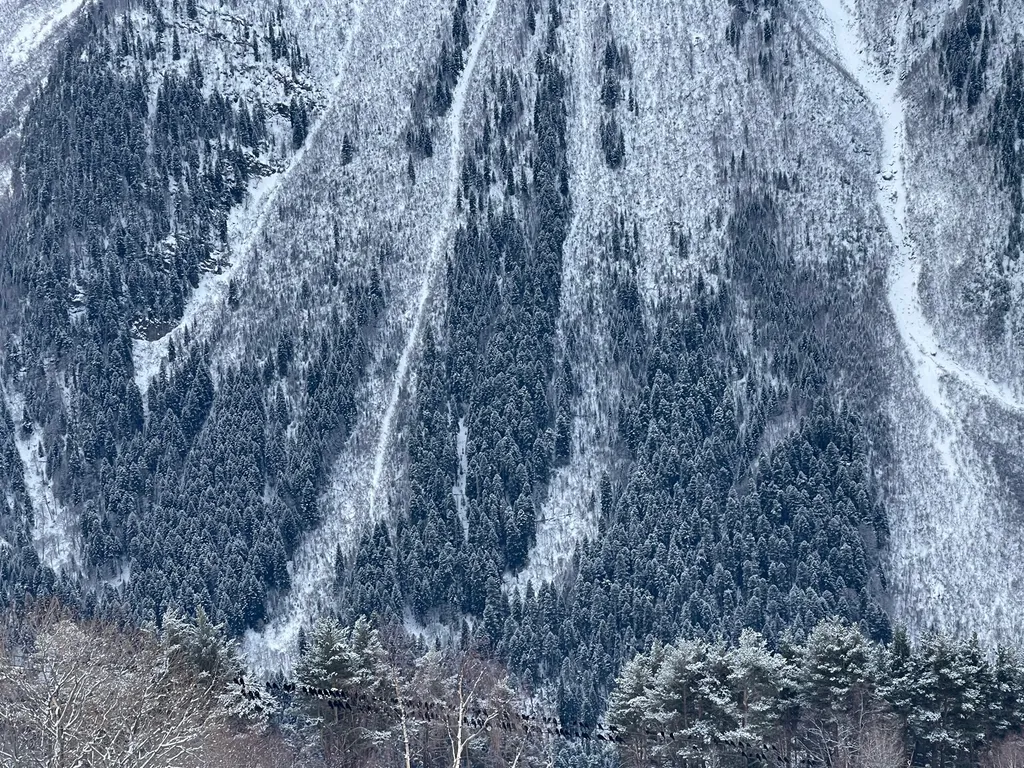 Апартамент в ЖК Спутник