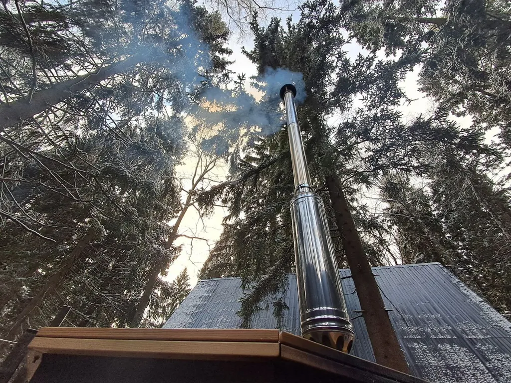 Дом Hamster в хвойном лесу у Большой воды