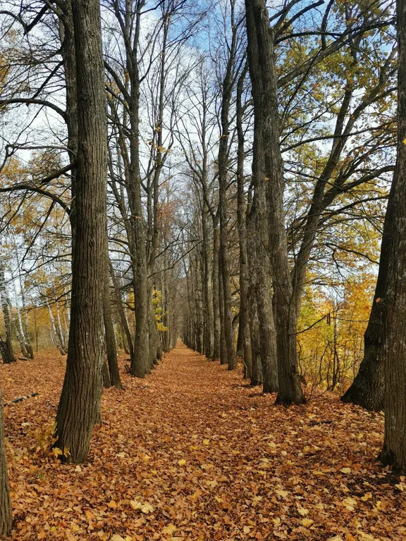Гостевой дом Воргольская сказка