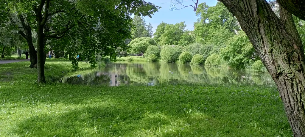 Комната у метро Нарвская