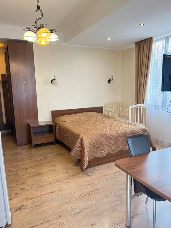 Студия с видом на горы