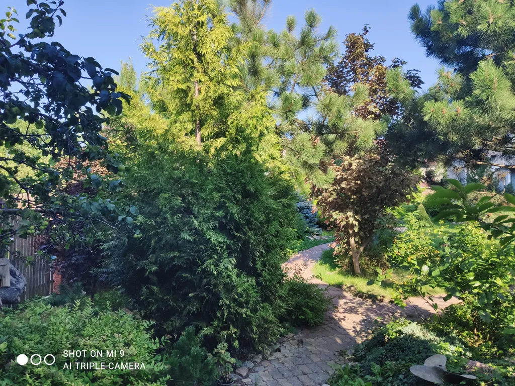 Деревенский дом у моря