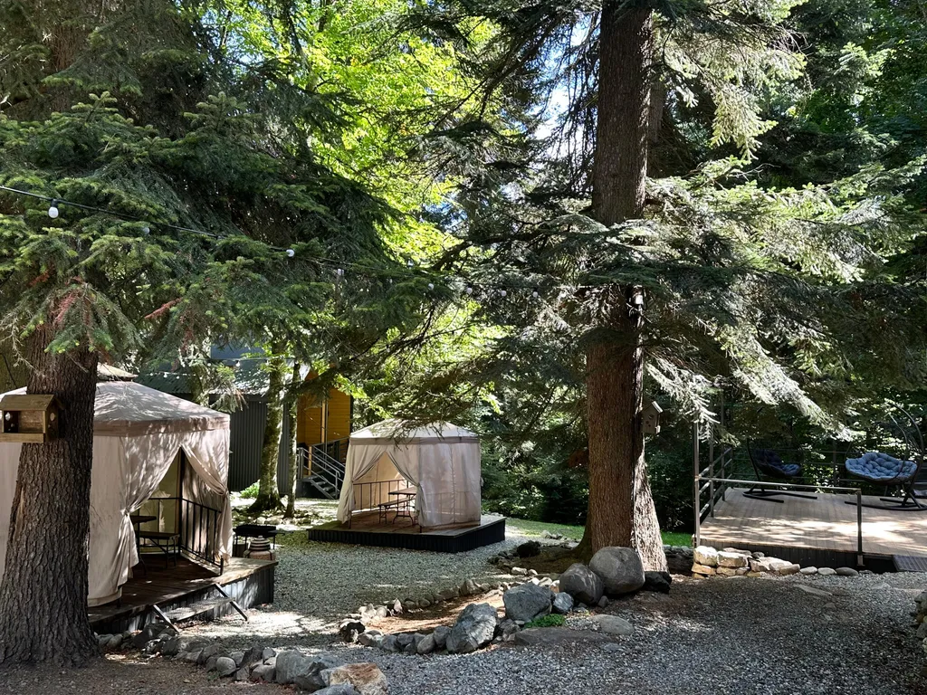 Коттедж для всей компании с видом на лес