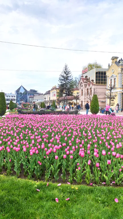 Квартира у Элен в самом сердце Кисловодска рядом с Курортным бульваром