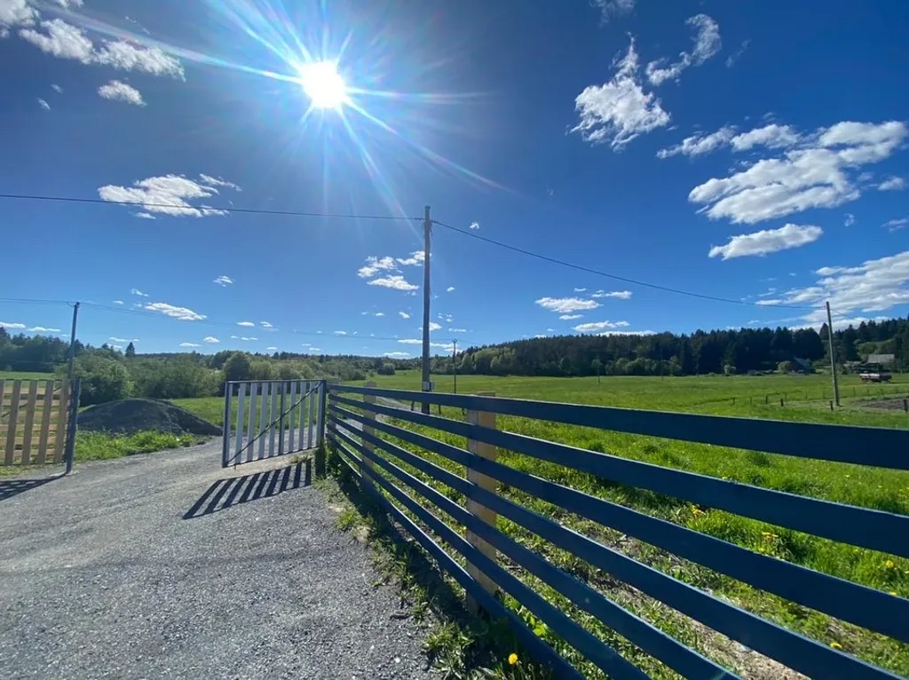 Черника в Сонном заливе