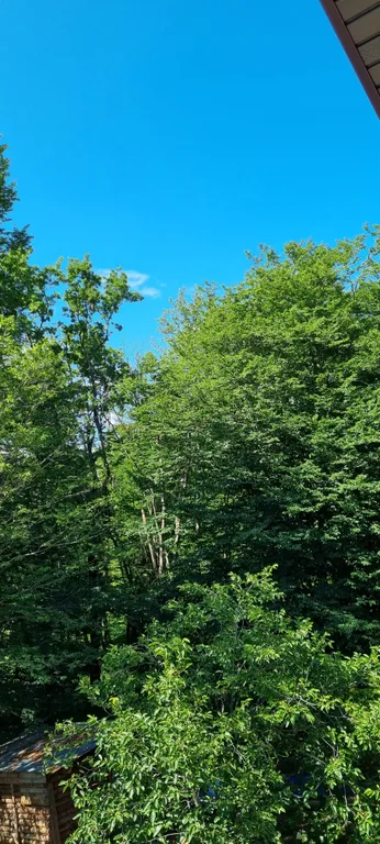 Евродвушка Кислород 1