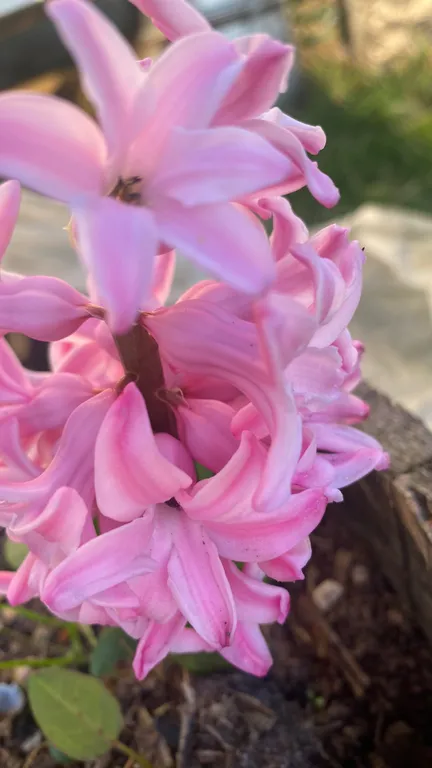 Тихий спокойный отдых у моря