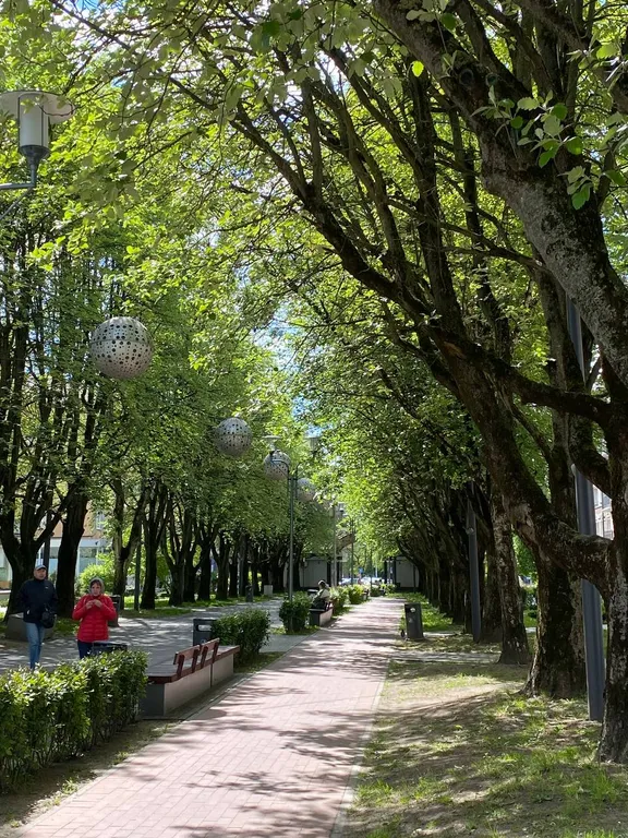 Квартира Спокойная квартира в самом центре — Калининград