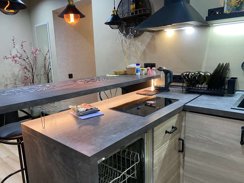 Однокомнатная квартира с баром-кухней