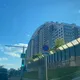 Чонг дык