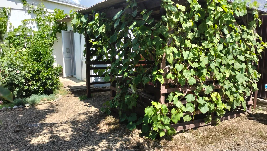 2-местный эконом