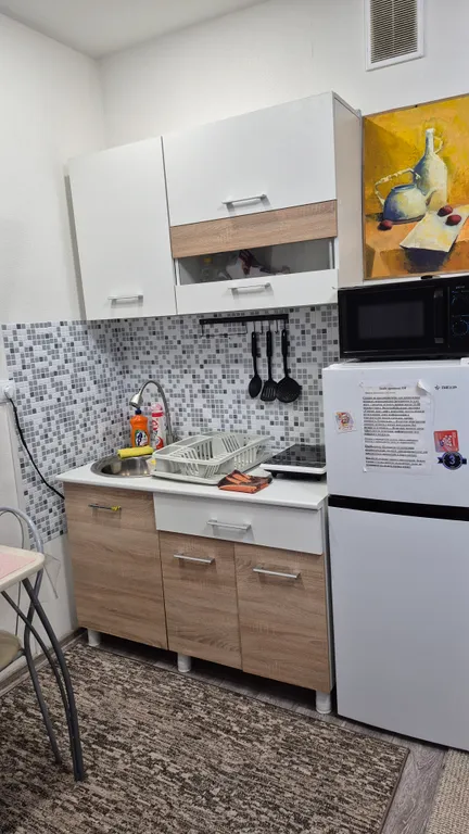 Уютная студия с видом на реку Иртыш