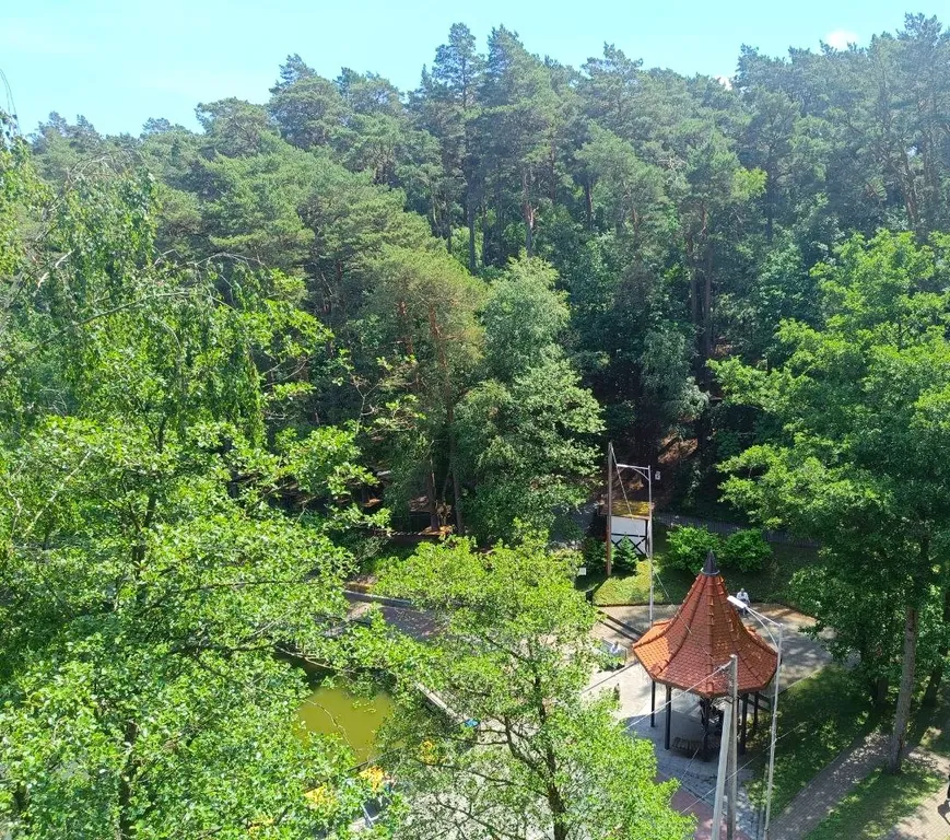 Квартира Квартира евро-двушка в исторической части Светлогорска — Светлогорск