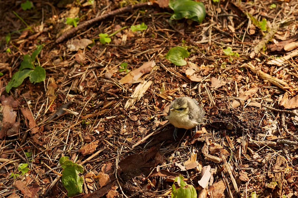 Твой дом в сосновом лесу в самом сердце Репино