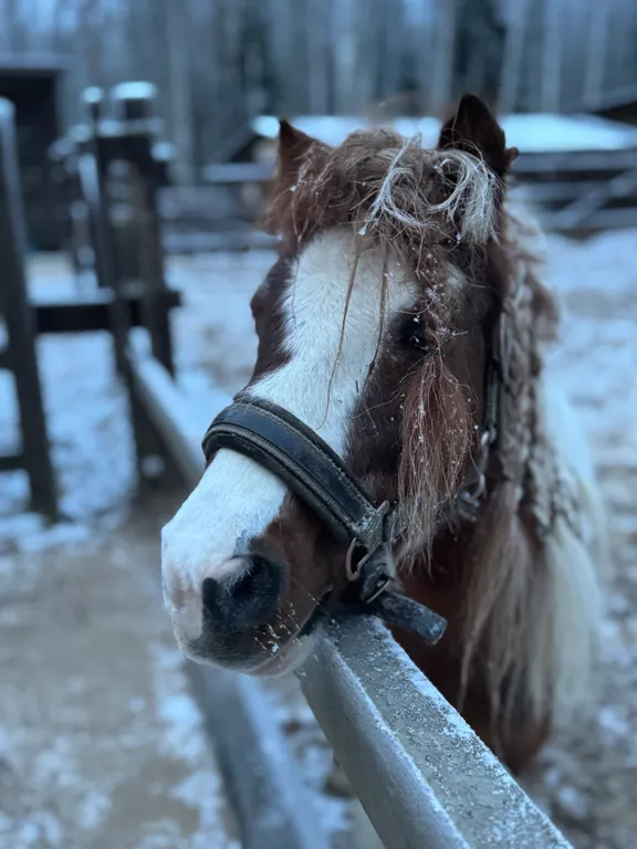 Коттедж Современный загородный дом со всеми удобствами рядом с озером — Борисово