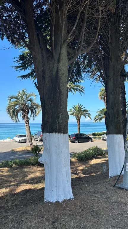 Коттедж Коттедж в старой гагре — Гагра