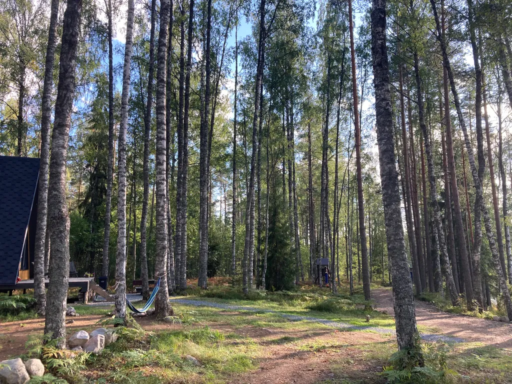 Руна Леса Карелия