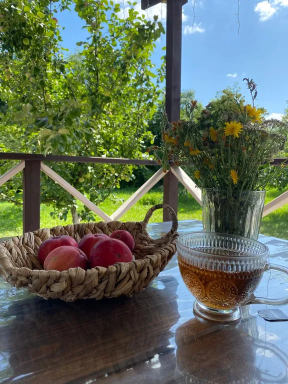 Усадьба Донская беседа рядом с парком Кудыкина гора