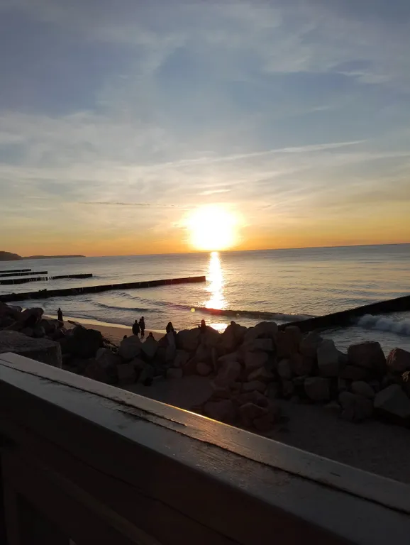 Квартира Супер-апартаменты Морской бриз на 1 линии у моря в сосновом бору — Светлогорск