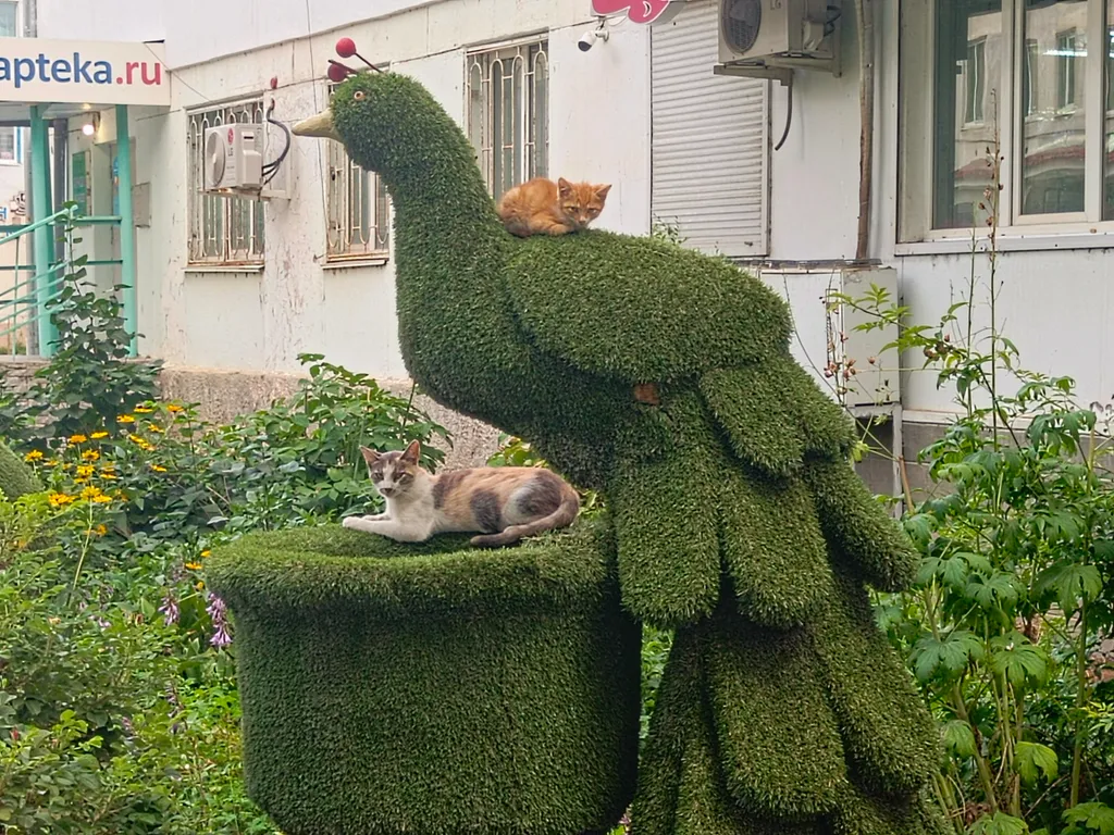 Особенная благостная квартира с удобным расположением на бульваре