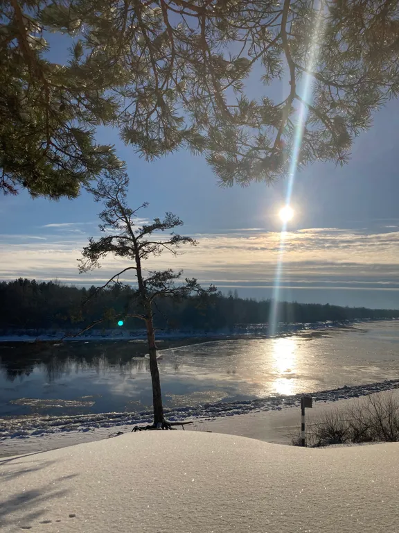 Уютный лесной домик со всеми удобствами