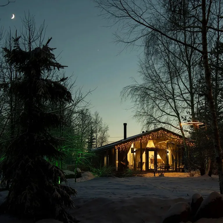 Коттедж Барнхаус на озере с видом на лес — Мичуринское