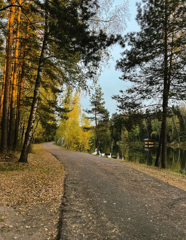 Большой коттедж с сауной в загородном комплексе отдыха бисерово