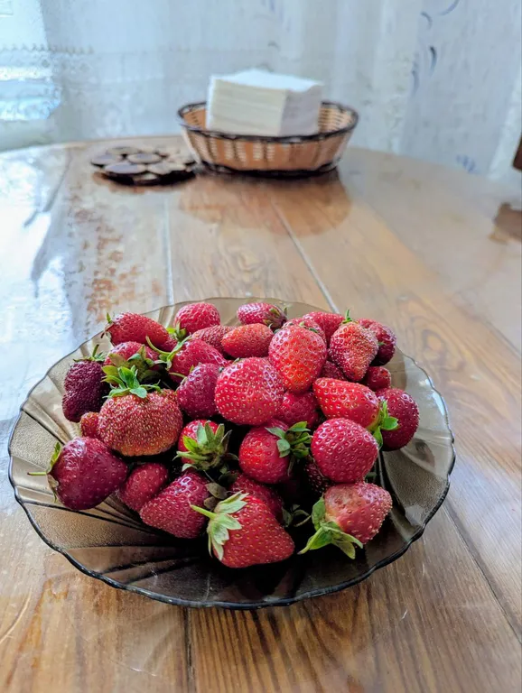 Удобная квартира-студия в новом микрорайоне, всё рядом