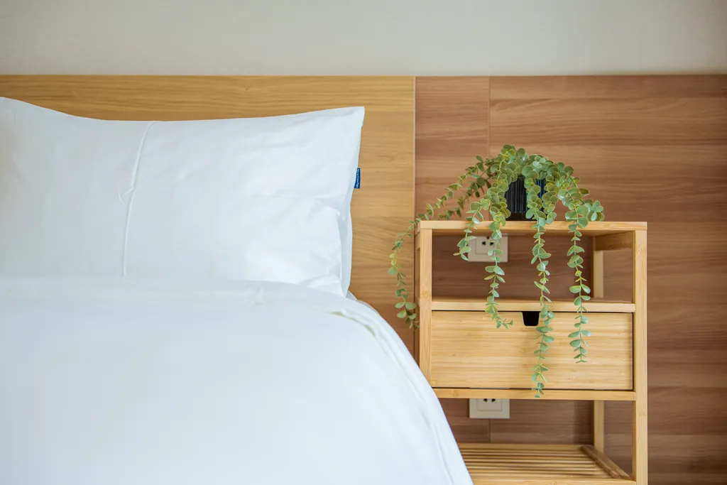 Laguna Lakeside residences apartment 1405