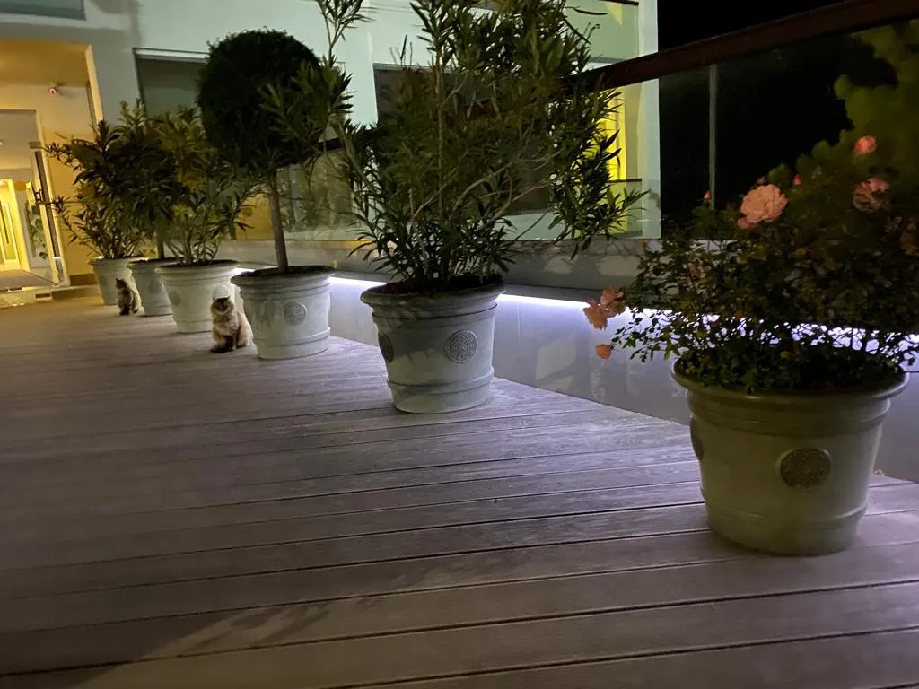 Видовая квартира на первой линии