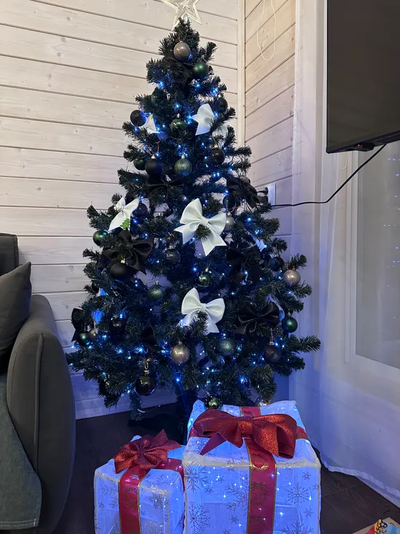 Коттедж Дом в одном из самых красивых мест для семейного отдыха — Сиверский