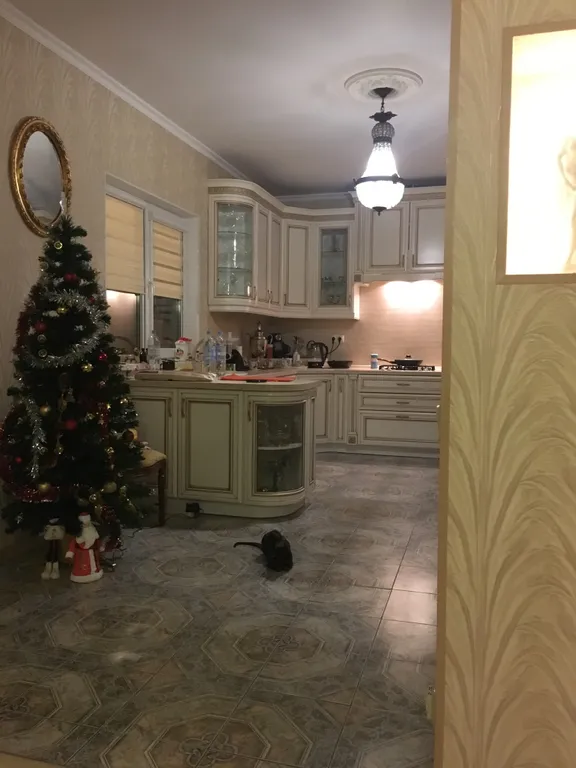 Коттедж Уютный дом для празднования новогодних праздников — Куйвози