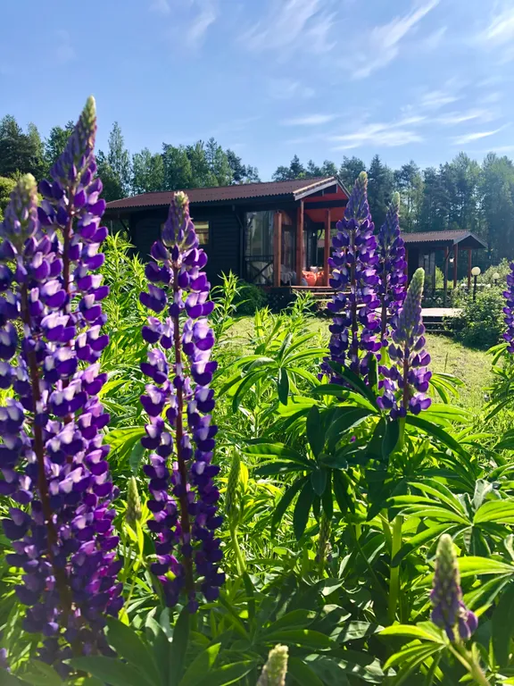 Коттедж Коттедж Шале у озера — Приозерск