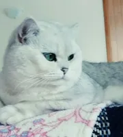 Ольга