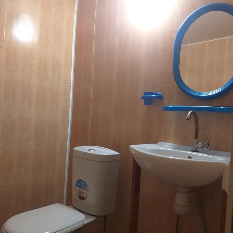 Отдых в Бузулукском бору круглый год с выходом в лес.