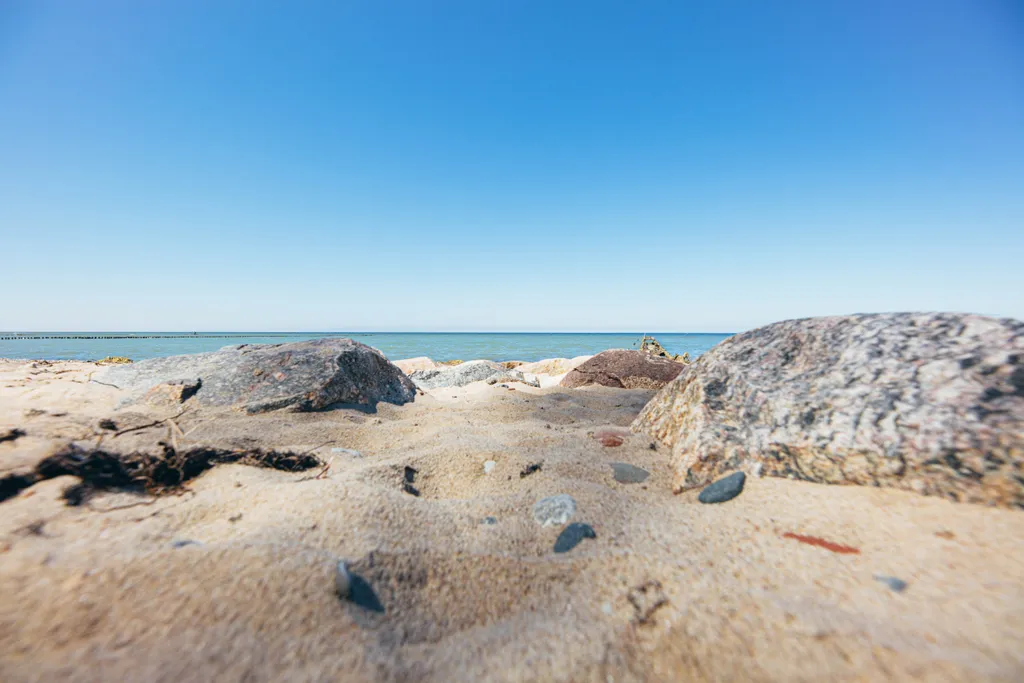 Квартира Апартаменты в парковой зоне — Светлогорск