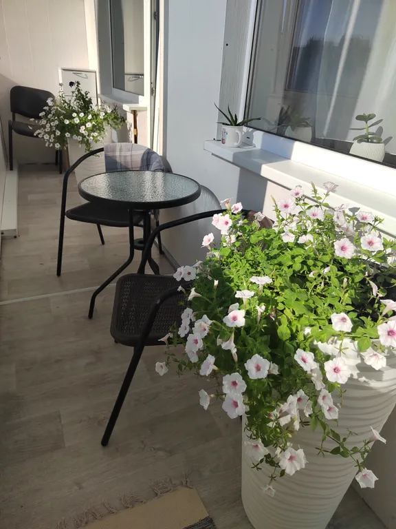 Уютная, солнечная квартира недалеко от центра