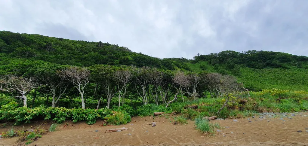 Уютный купол на острове Кунашир